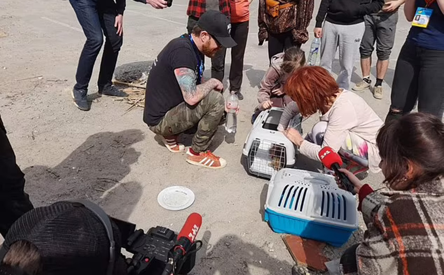 Διάσωση γάτας στο Κίεβο Διάσωση γάτας στο Κίεβο