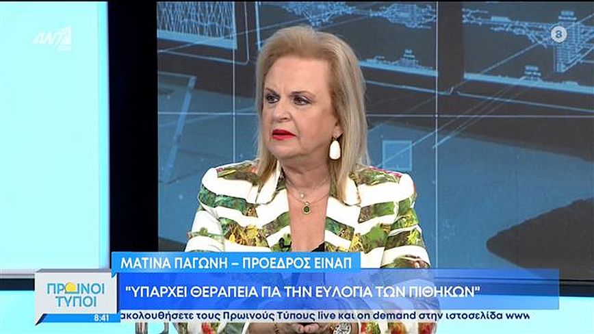 Παγώνη: Έγκυοι και παιδιά κινδυνεύουν περισσότερο να κολλήσουν ευλογιά των πιθήκων