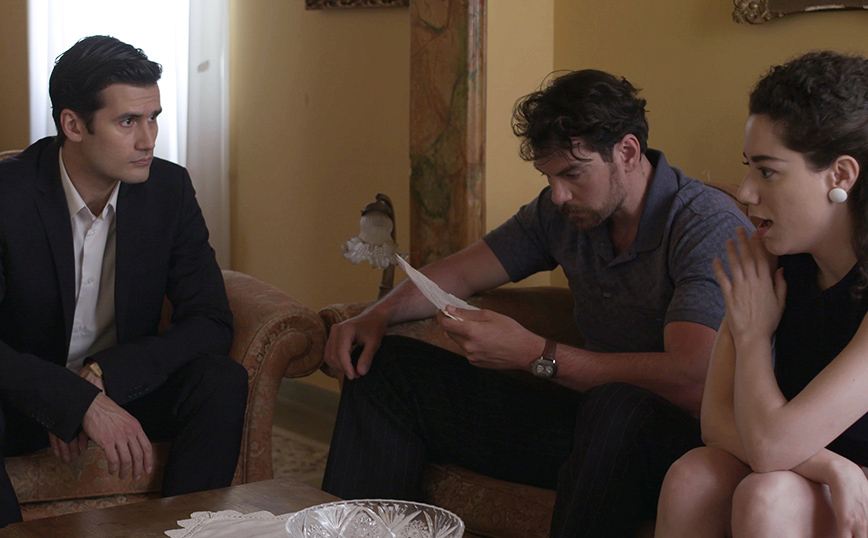 Άγριες Μέλισσες