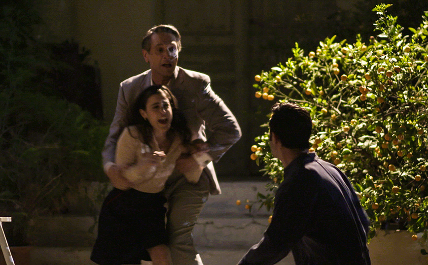 Άγριες Μέλισσες