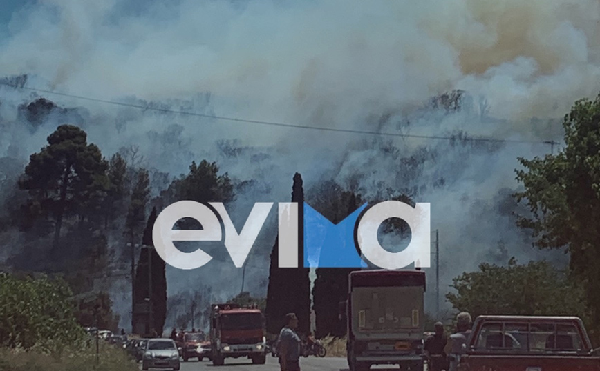 Φωτιά τώρα στο Αλιβέρι – Κοντά σε κατοικημένη περιοχή οι φλόγες