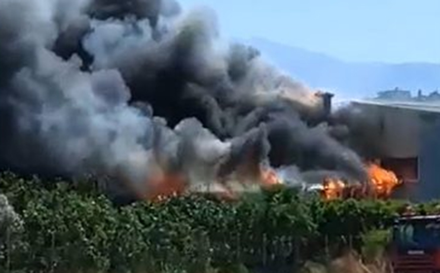 Φωτιά σε εργοστάσιο ξυλείας στο Ηράκλειο Κρήτης Φωτιά σε εργοστάσιο ξυλείας στο Ηράκλειο Κρήτης