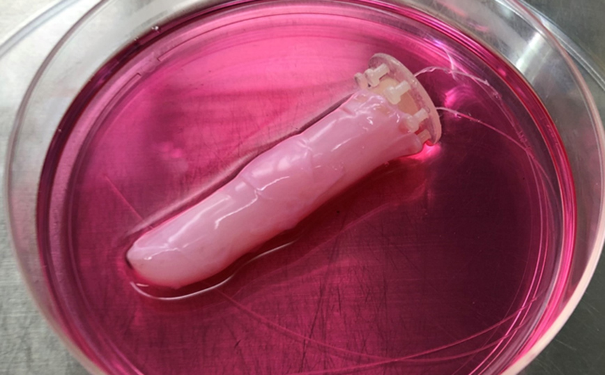 Δάχτυλο για ρομπότ Δάχτυλο για ρομπότ