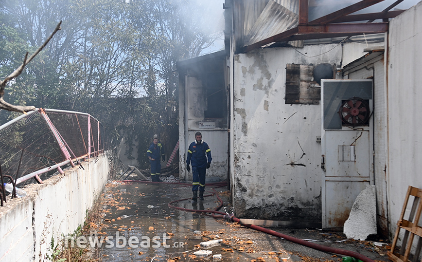 Φωτιά στον Ελαιώνα: Με εγκαύματα και αναπνευστικά προβλήματα νοσηλεύεται ο 14χρονος