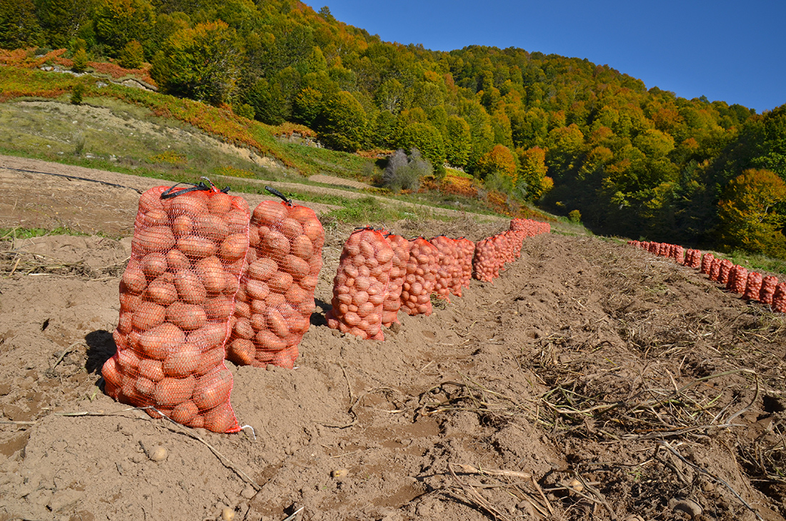 Εργάτες γης Εργάτες γης