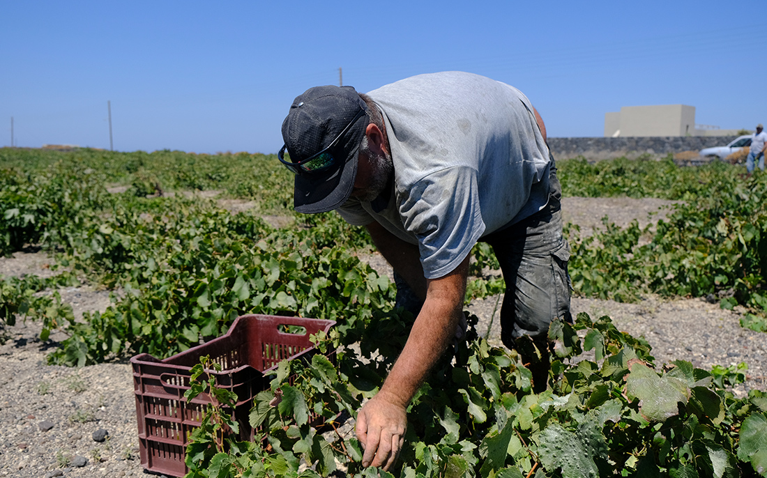 Εργάτες γης Εργάτες γης