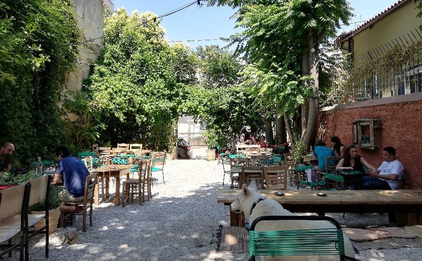 Καμπεθόν Καμπεθόν