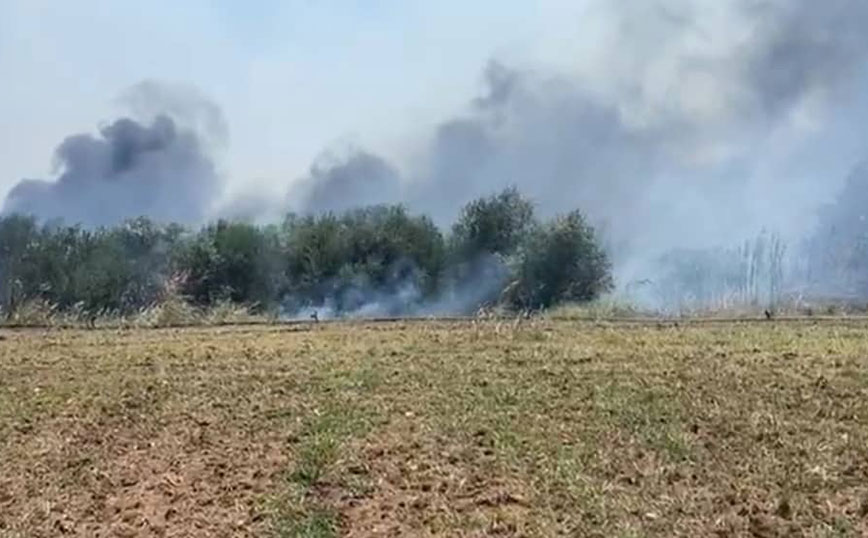 Φωτιά στο Βελεστίνο: Μήνυμα του 112 για τρία χωριά