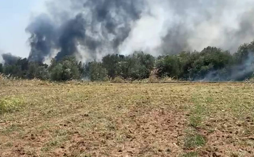 Υπό έλεγχο οι φωτιές στον Λοφίσκο Λαγκαδά και το Χωρύγι Κιλκίς