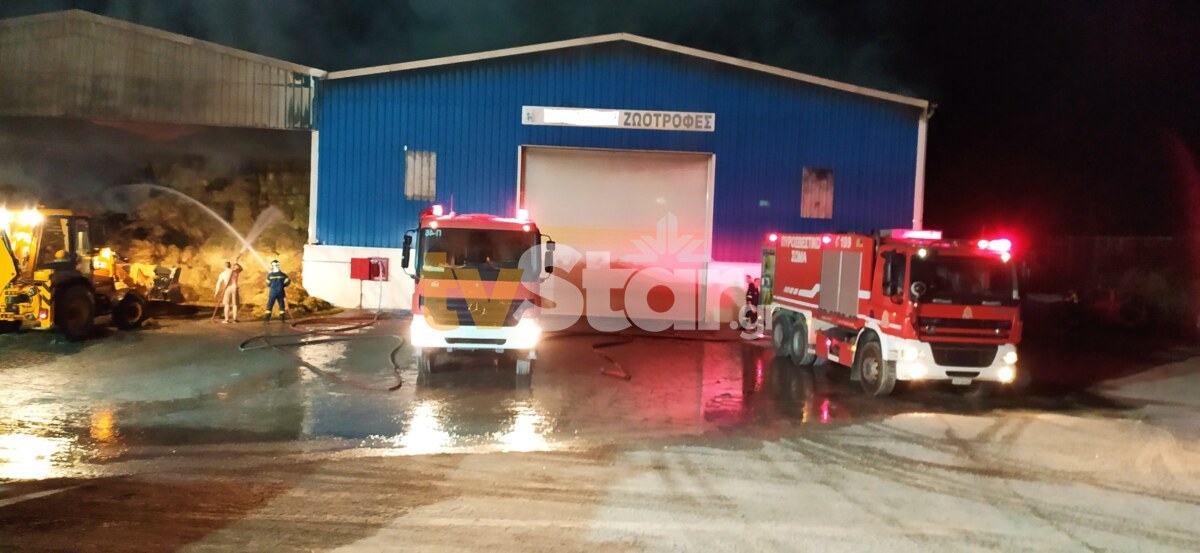 Φωτιά σε αποθήκη με ζωοτροφές στην Αλίαρτο Βοιωτίας &#8211; Δείτε φωτογραφίες