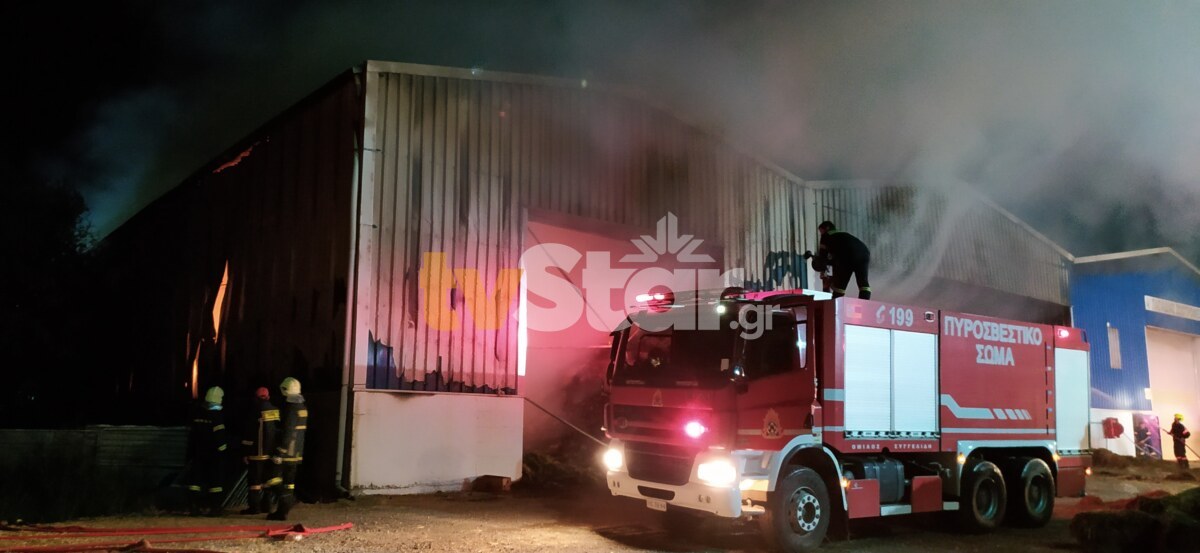 Φωτιά σε αποθήκη με ζωοτροφές στην Αλίαρτο Φωτιά σε αποθήκη με ζωοτροφές στην Αλίαρτο