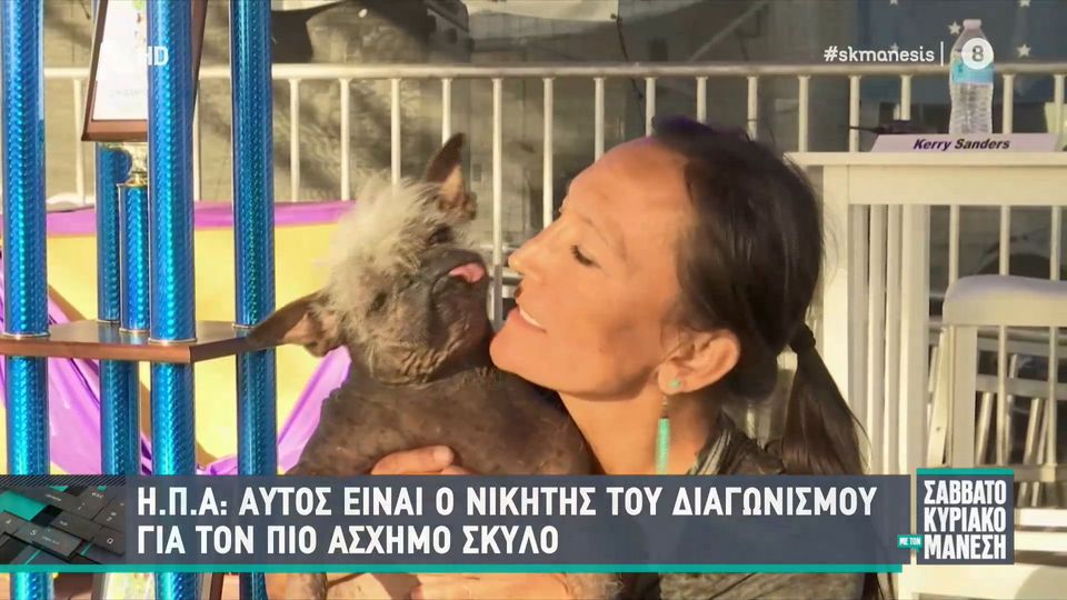 Ο πιο άσχημος σκύλος του κόσμου λέγεται Happy Face και έχει πανκ κόμμωση – Δείτε βίντεο