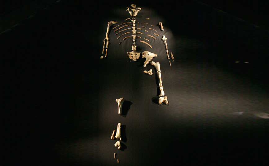 Η διάσημη «Λούσι»