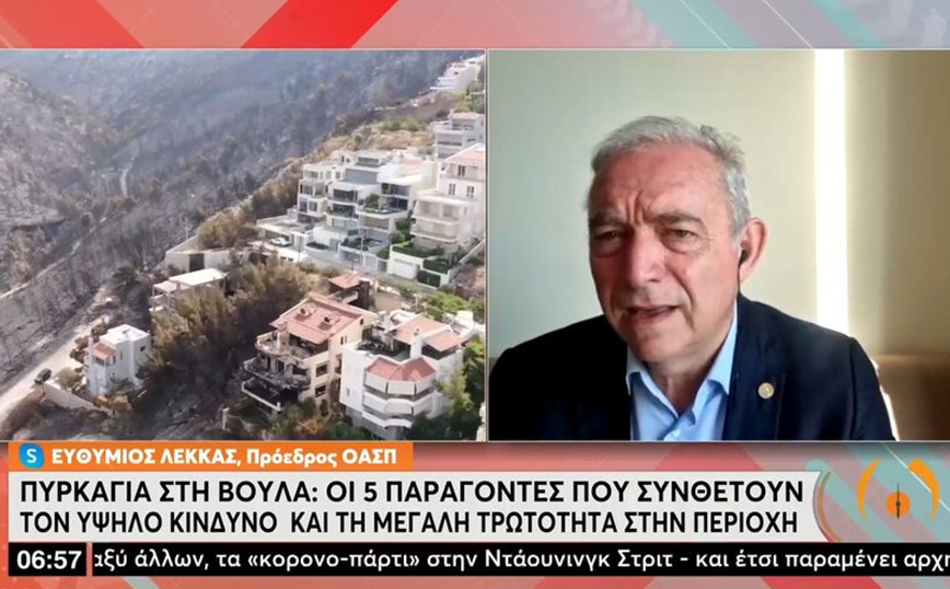 Φωτιά στη Βούλα – Ευθύμης Λέκκας: Τα σπίτια που κάηκαν είχαν έναν εναγκαλισμό με τα δέντρα