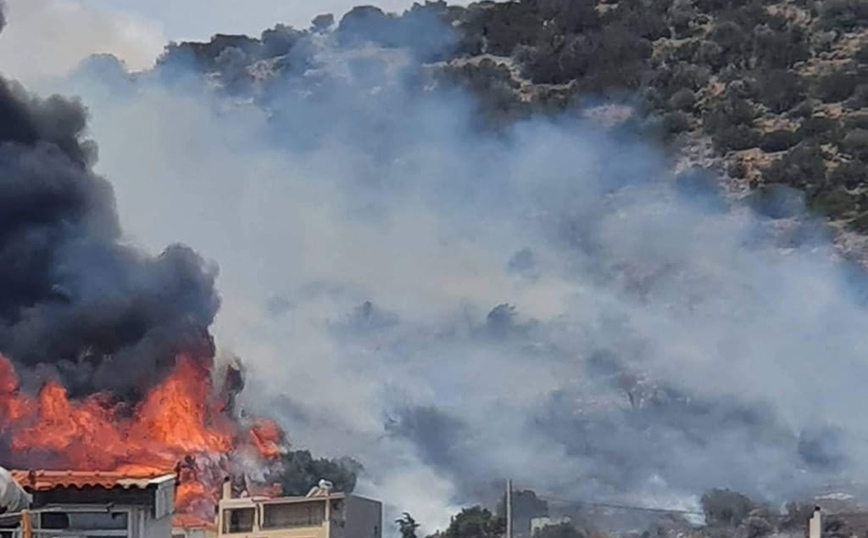 Φωτιά στην Αρτέμιδα: Οριοθετήθηκε η πυρκαγιά που είχε φτάσει δίπλα στα σπίτια – Ένας τραυματίας
