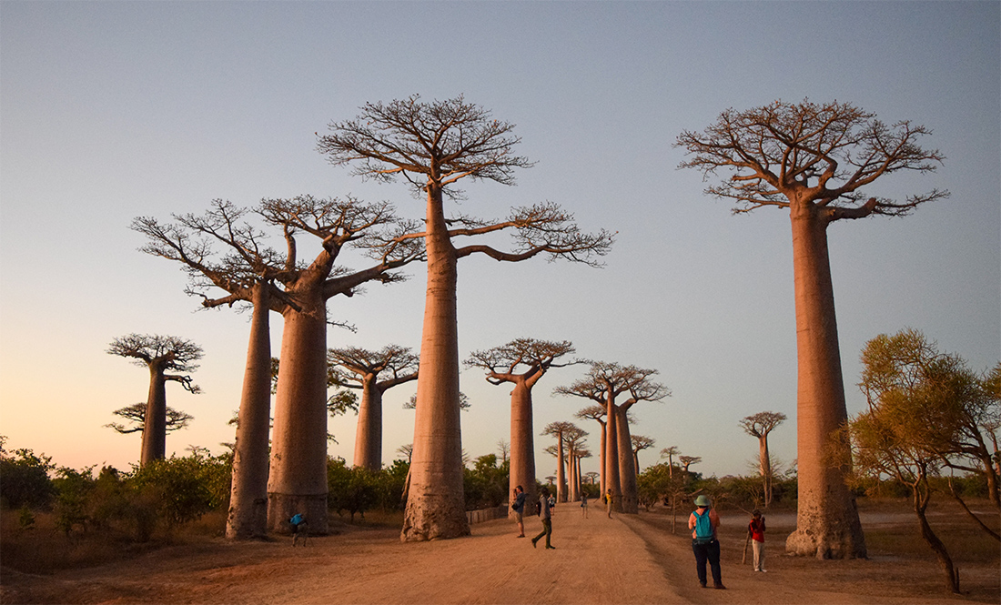 routes for good Μαδαγασκάρη routes for good Μαδαγασκάρη