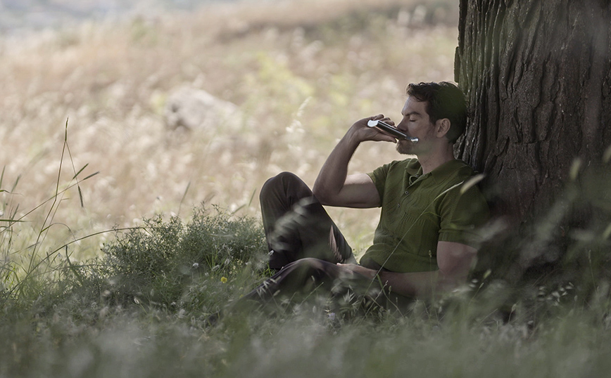 Άγριες Μέλισσες