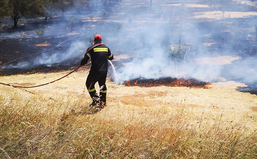 Φωτιά στην Αργολίδα Φωτιά στην Αργολίδα