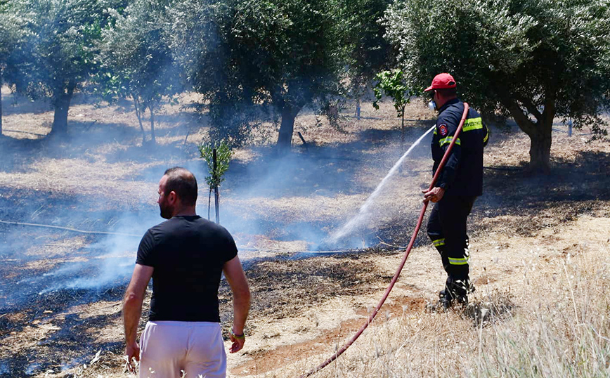 Φωτιά στην Αργολίδα Φωτιά στην Αργολίδα