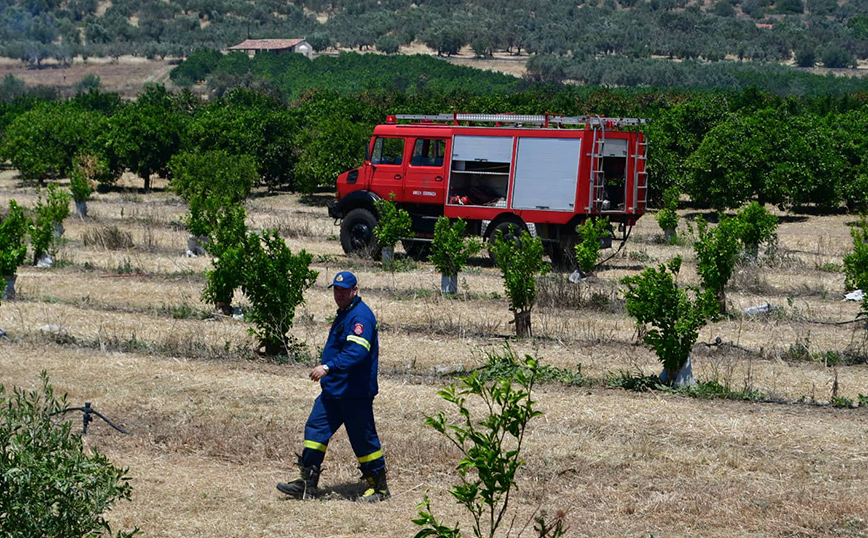 Φωτιά στην Αργολίδα Φωτιά στην Αργολίδα