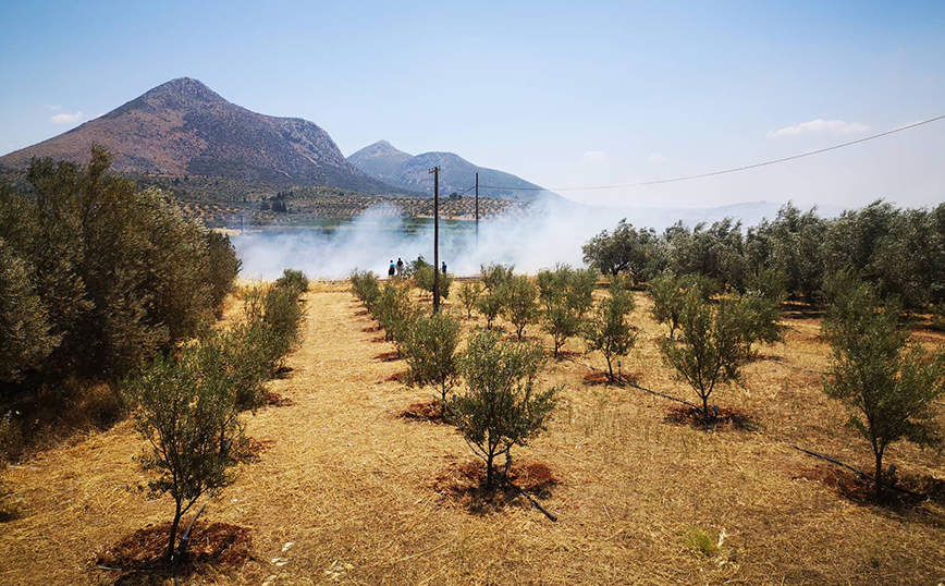 Φωτιά στην Αργολίδα Φωτιά στην Αργολίδα