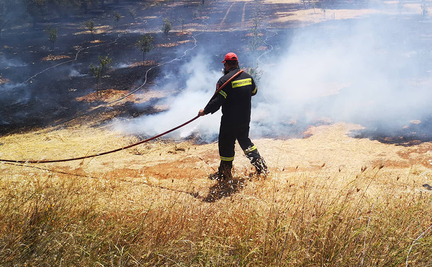 Φωτιά στην Αργολίδα Φωτιά στην Αργολίδα