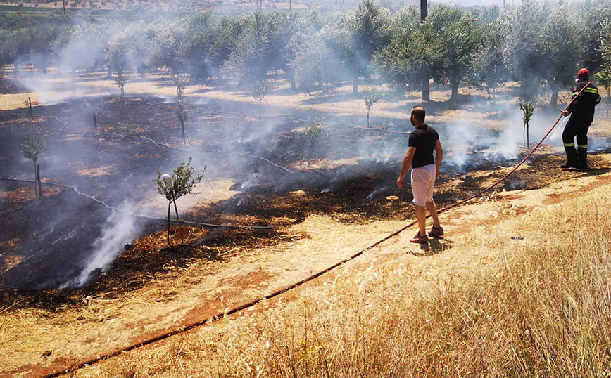 Φωτιά στην Αργολίδα Φωτιά στην Αργολίδα
