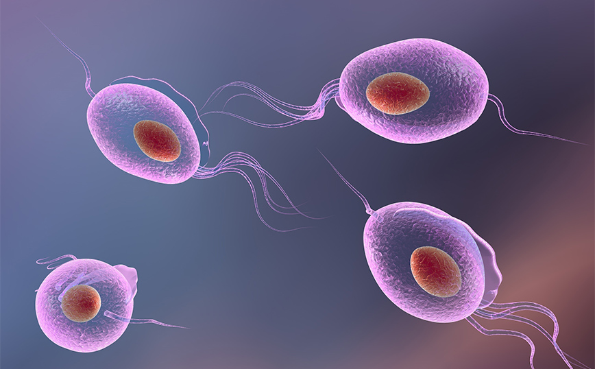 Σεξουαλικώς μεταδιδόμενο νόσημα σμν