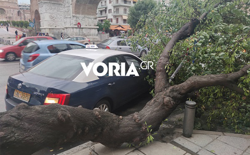 Θεσσαλονίκη: Μπήκαν σε ταξί και έπεσε πάνω του δέντρο που ξεριζώθηκε από την κακοκαιρία