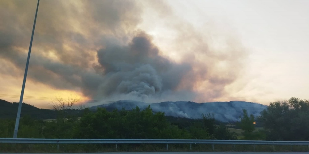 Φωτιά στον Έβρο: Δύσκολη κατάσταση στη Δαδιά &#8211; Μάχη για να σωθεί το δάσος