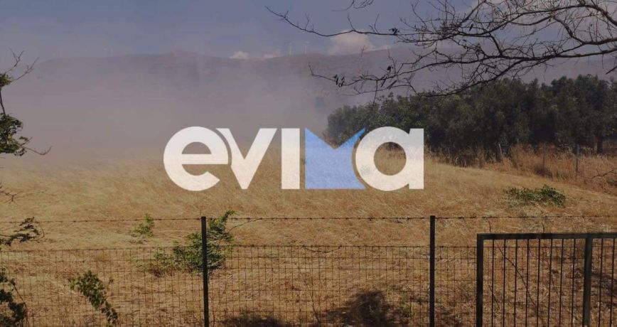 Μεγάλη φωτιά τώρα στην Κάρυστο – Είναι κοντά σε υποσταθμό της ΔΕΗ