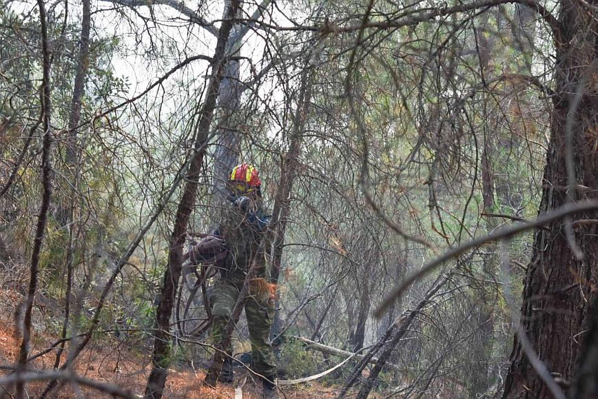 Ανεξέλεγκτη η φωτιά στον Έβρο &#8211; Καίγεται ακόμη το δάσος της Δαδιάς