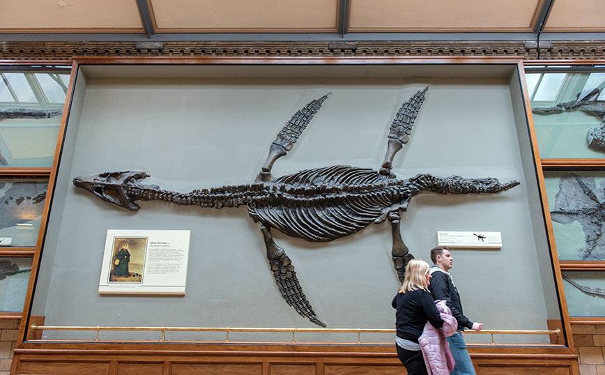 Ιχθυόσαυρος