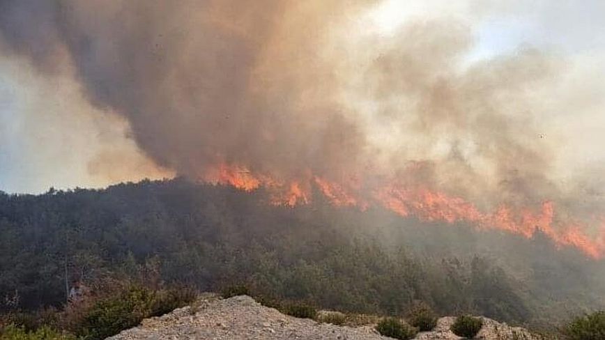 Φωτιά στον Έβρο: Εκτός κινδύνου το χωριό της Δαδιάς, άθικτα τα οικοσυστήματα