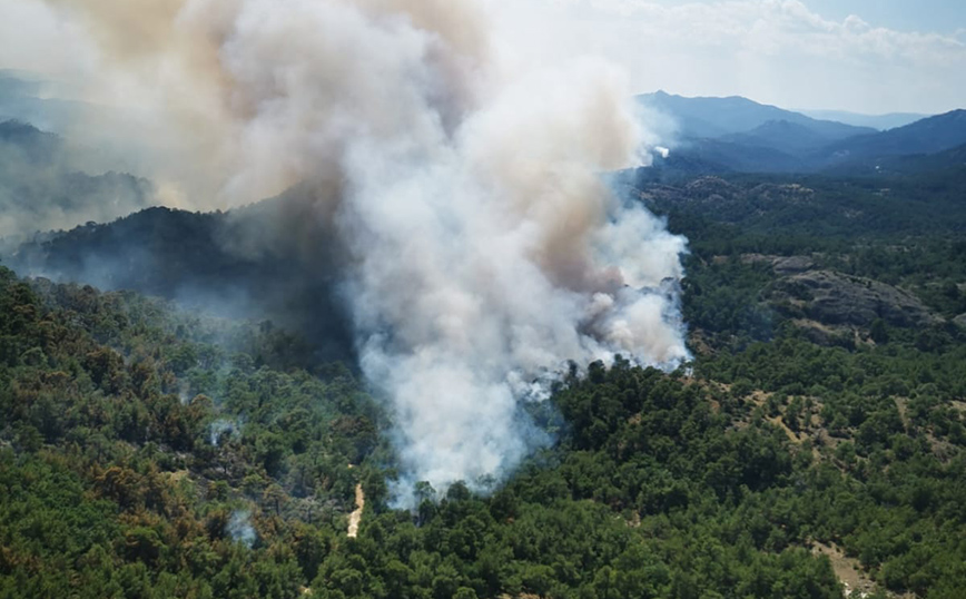 Η Ελλάδα σε πύρινο κλοιό: Μαίνονται οι φωτιές σε Δαδιά Έβρου, Ηλεία, Λέσβο &#8211; 141 πυρκαγιές το τελευταίο 3ημερο
