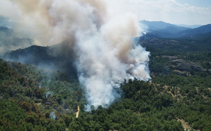 Δέκατο 24ωρο πύρινου εφιάλτη στον Έβρο &#8211; Σε κίνδυνο το δάσος της Δαδιάς