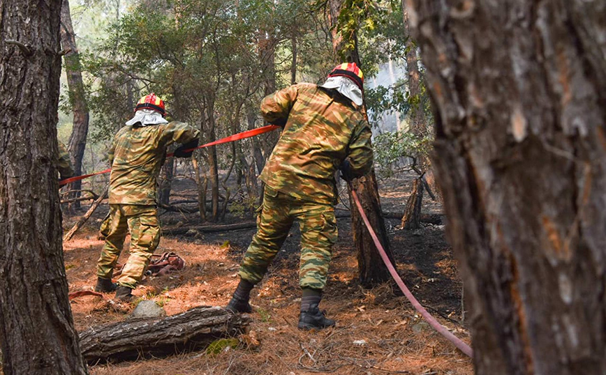 ΝΔ σε ΣΥΡΙΖΑ για τη φωτιά στη Δαδιά: Λέει ότι «η φωτιά θα σβήσει μόνη της», ο κατήφορος δεν έχει σταματημό