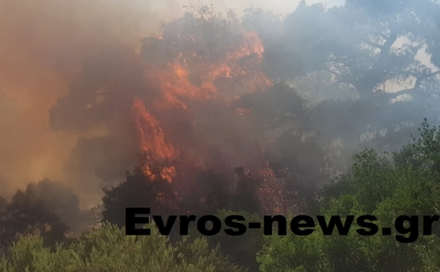 Φωτιά τώρα στο Αρίστηνο Έβρου – Σηκώθηκαν εναέριες δυνάμεις