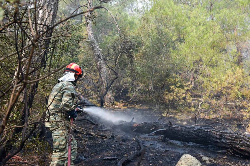 Φωτιά στο Δάσος της Δαδιάς: Μάχη με επίγεια και εναέρια μέσα &#8211; Δύσκολο το νοτιοδυτικό μέτωπο