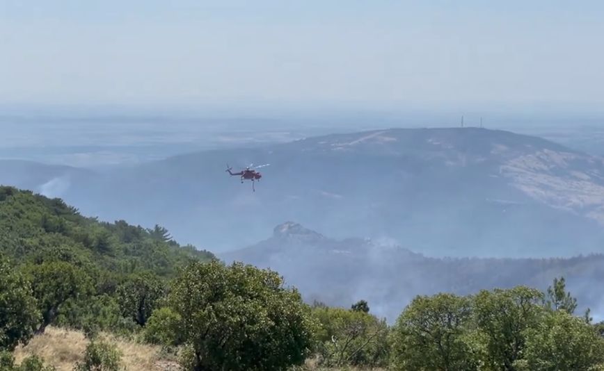 Φωτιά στη Δαδιά: Καλή η εικόνα σήμερα &#8211; Δεν υπάρχει ενεργό μέτωπο