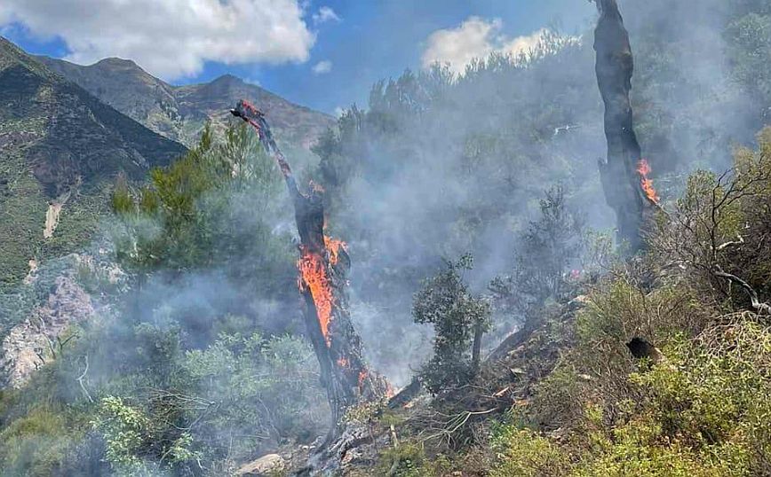 Φωτιά τώρα στην Αχαΐα – Πληροφορίες ότι την προκάλεσε κεραυνός