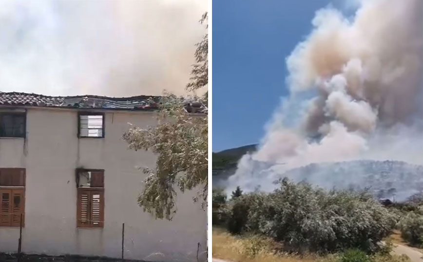 Φωτιά στο Πόρτο Γερμενό: Δεν υπάρχει κίνδυνος για την Ψάθα – Εικόνες από τις στάχτες του δάσους και το σπίτι που κάηκε