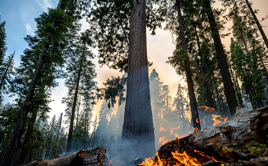 Φωτιά στην Καλιφόρνια Φωτιά στην Καλιφόρνια