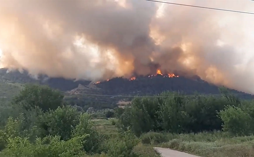 Μεγάλη φωτιά στον Έβρο: Τεράστιο μέτωπο 1,5 χιλιομέτρου – Δεν κινδυνεύουν οικισμοί