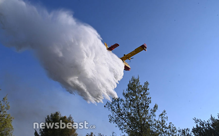 Φωτιά στη Μάνδρα Φωτιά στη Μάνδρα