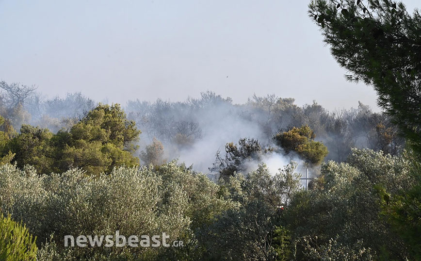 Φωτιά στη Μάνδρα Φωτιά στη Μάνδρα