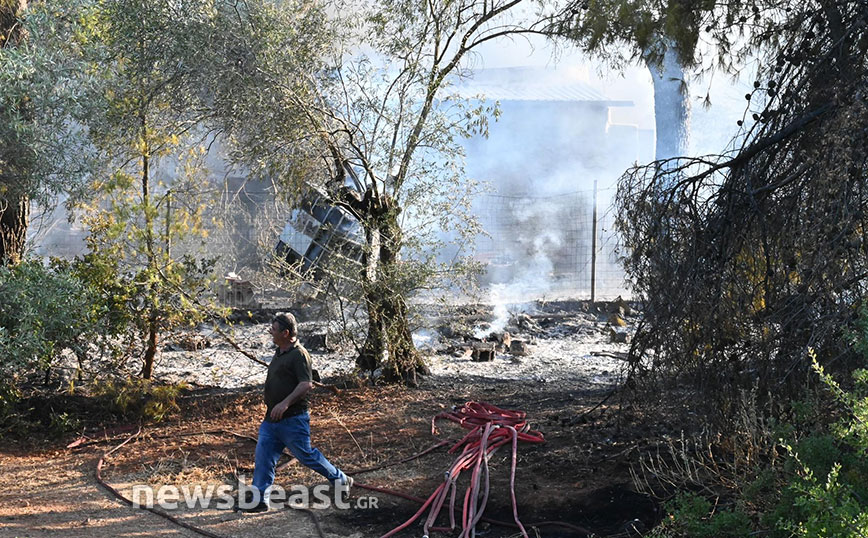 Φωτιά στη Μάνδρα Φωτιά στη Μάνδρα