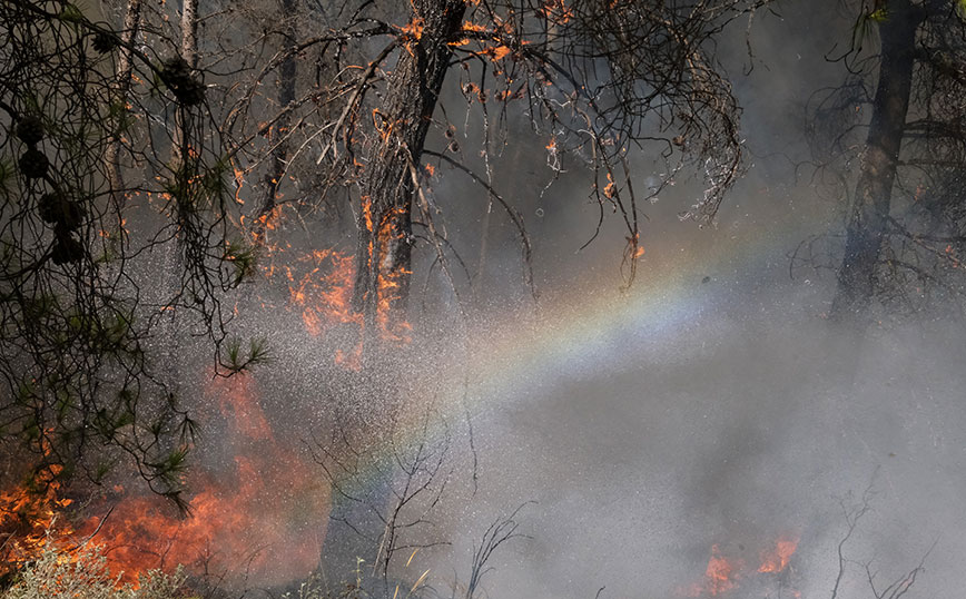 Φωτιά στα Μέγαρα Φωτιά στα Μέγαρα