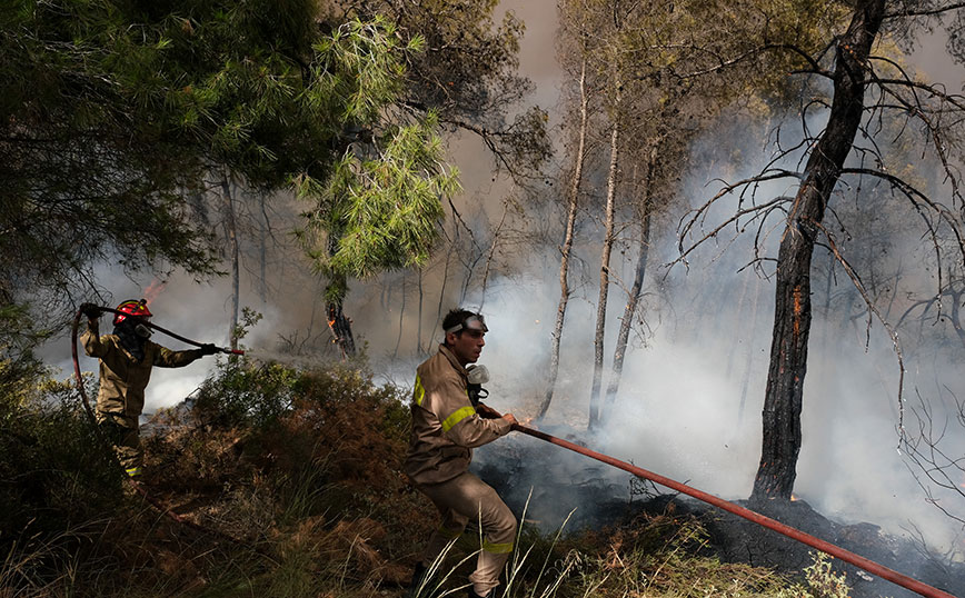 Φωτιά στα Μέγαρα Φωτιά στα Μέγαρα