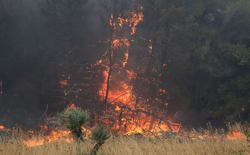Φωτιά στα Μέγαρα Φωτιά στα Μέγαρα
